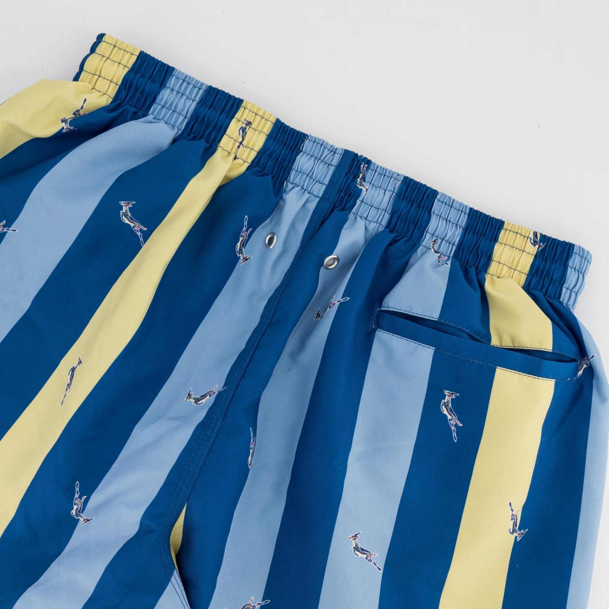 Springboks Candy Stripe SB Print Swim Shorts - Skyway - Old School