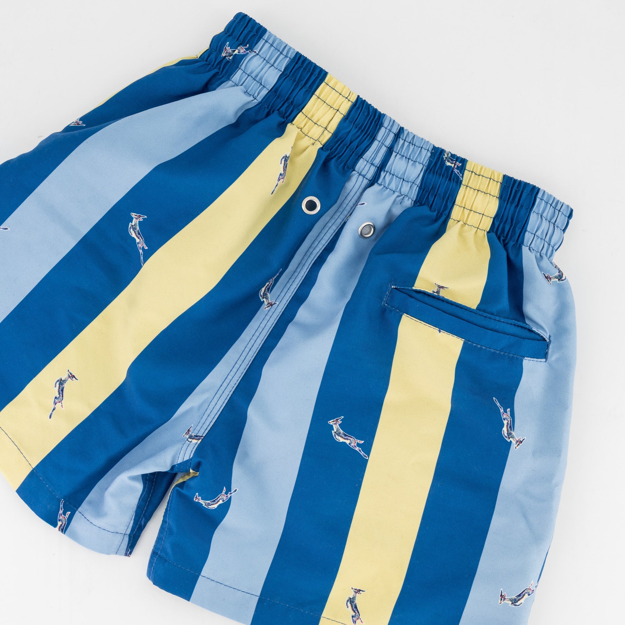 Springboks Stripe Print Kids Swim Shorts - Skyway - Old School