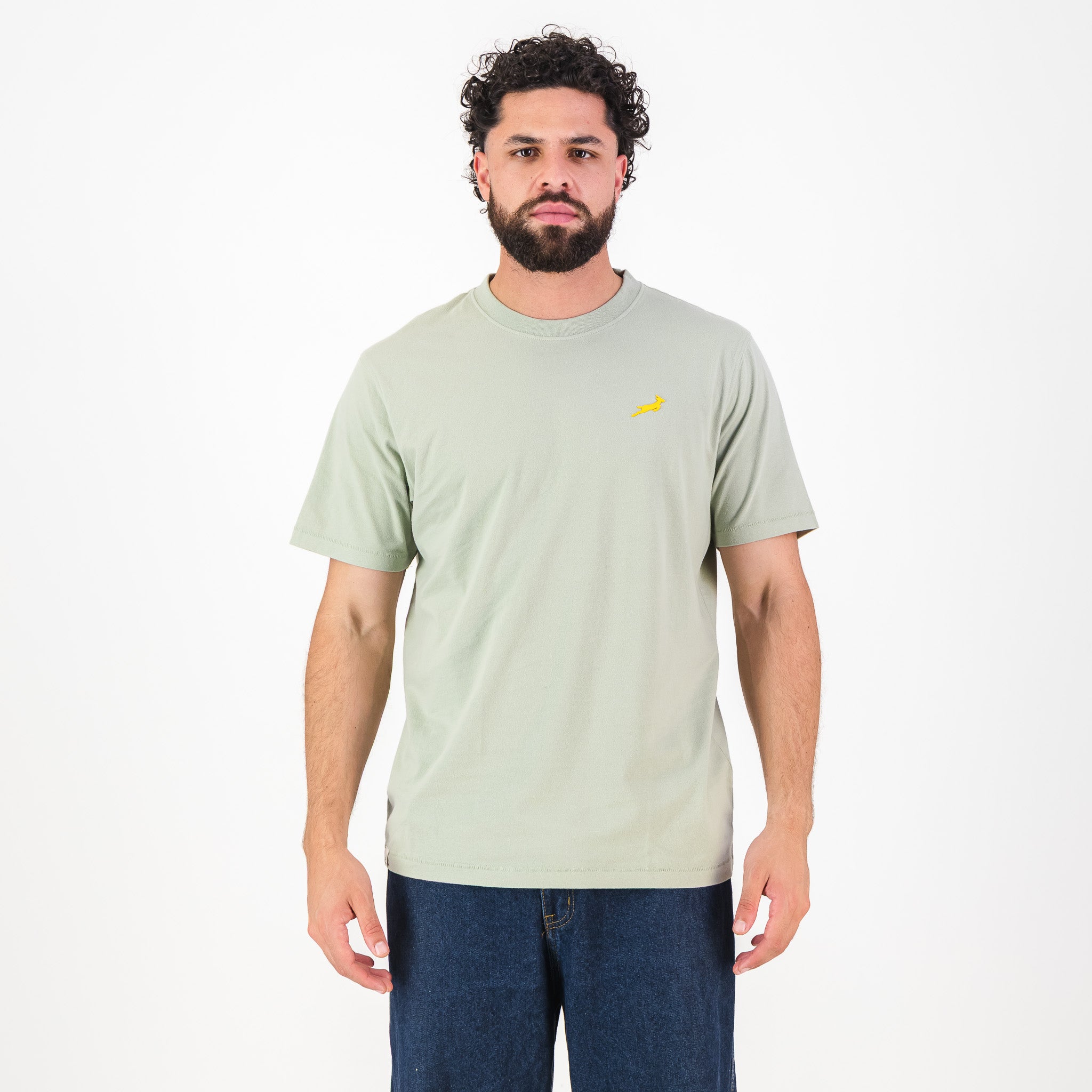 Springboks SML Bok HS Regular Crew Tee - Desert Sage