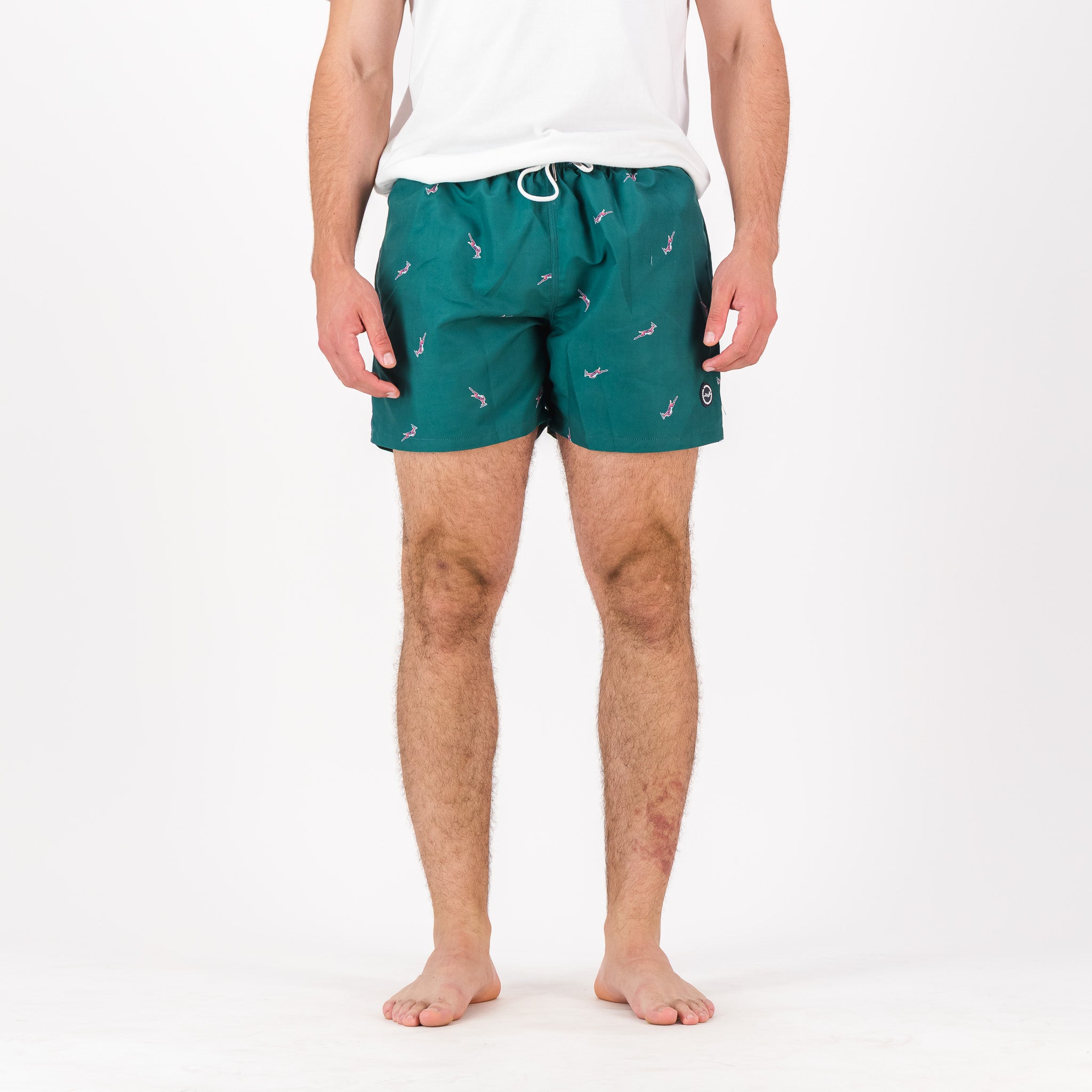 Springboks Candy Stripe SB Print Swim Shorts-Skyway