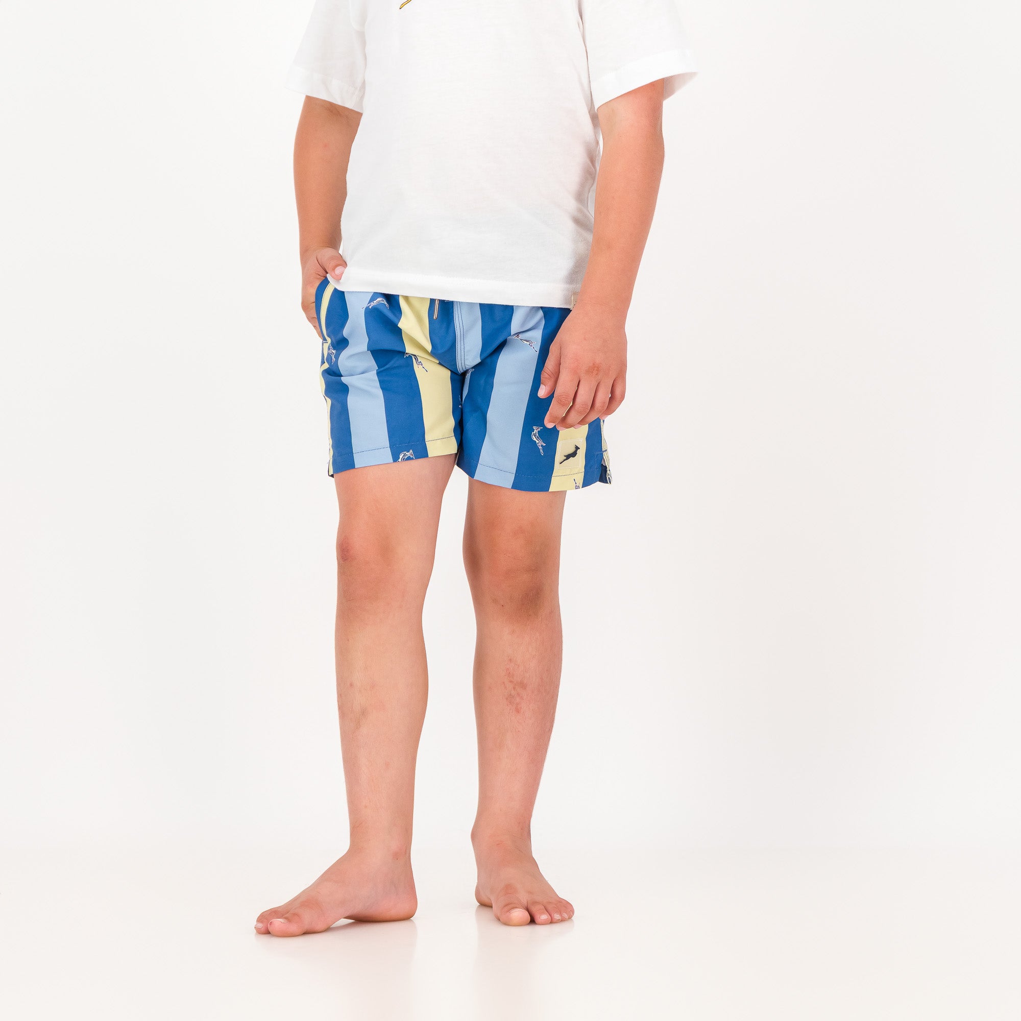 Springboks Stripe Print Kids Swim Shorts-Skyway