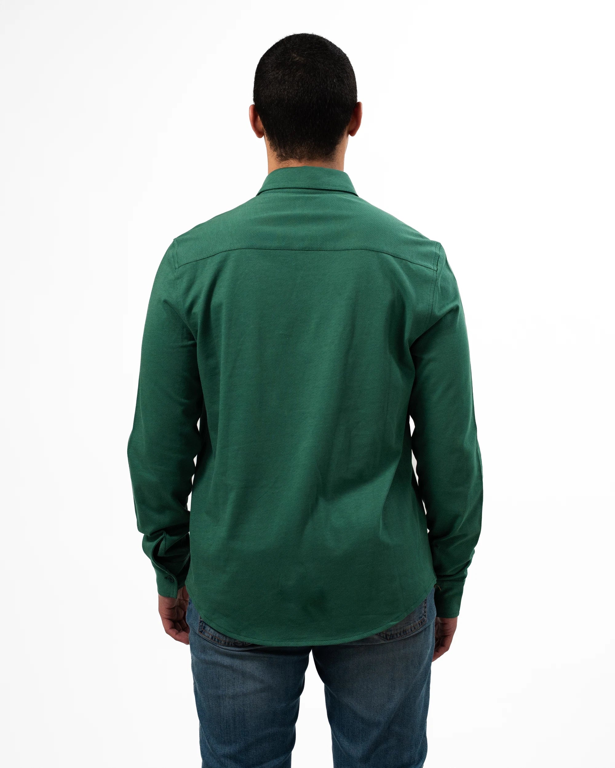 Springboks Tailored LS Shirt Green
