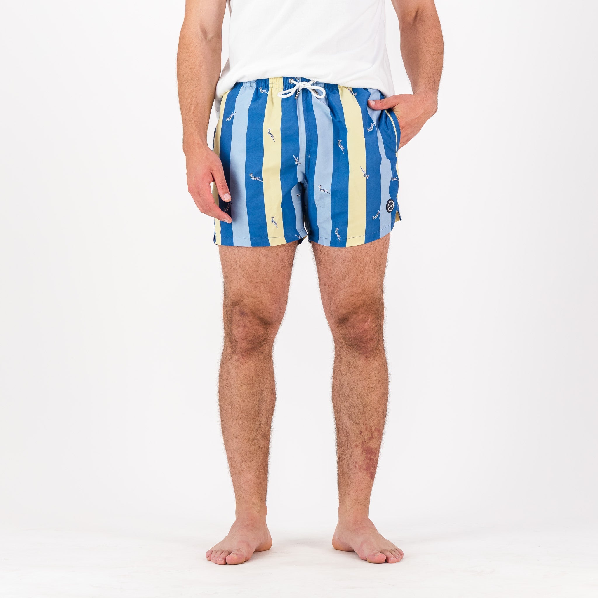 Springboks Candy Stripe SB Print Swim Shorts - Skyway - Old School
