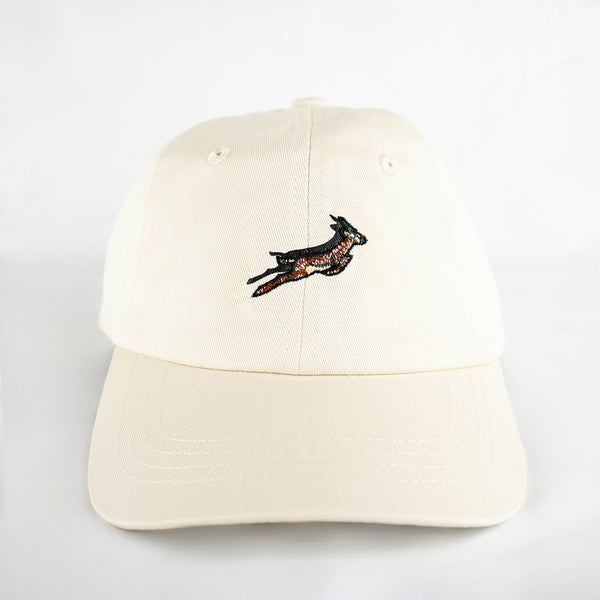springboks-shadow-pop-dad-cap-