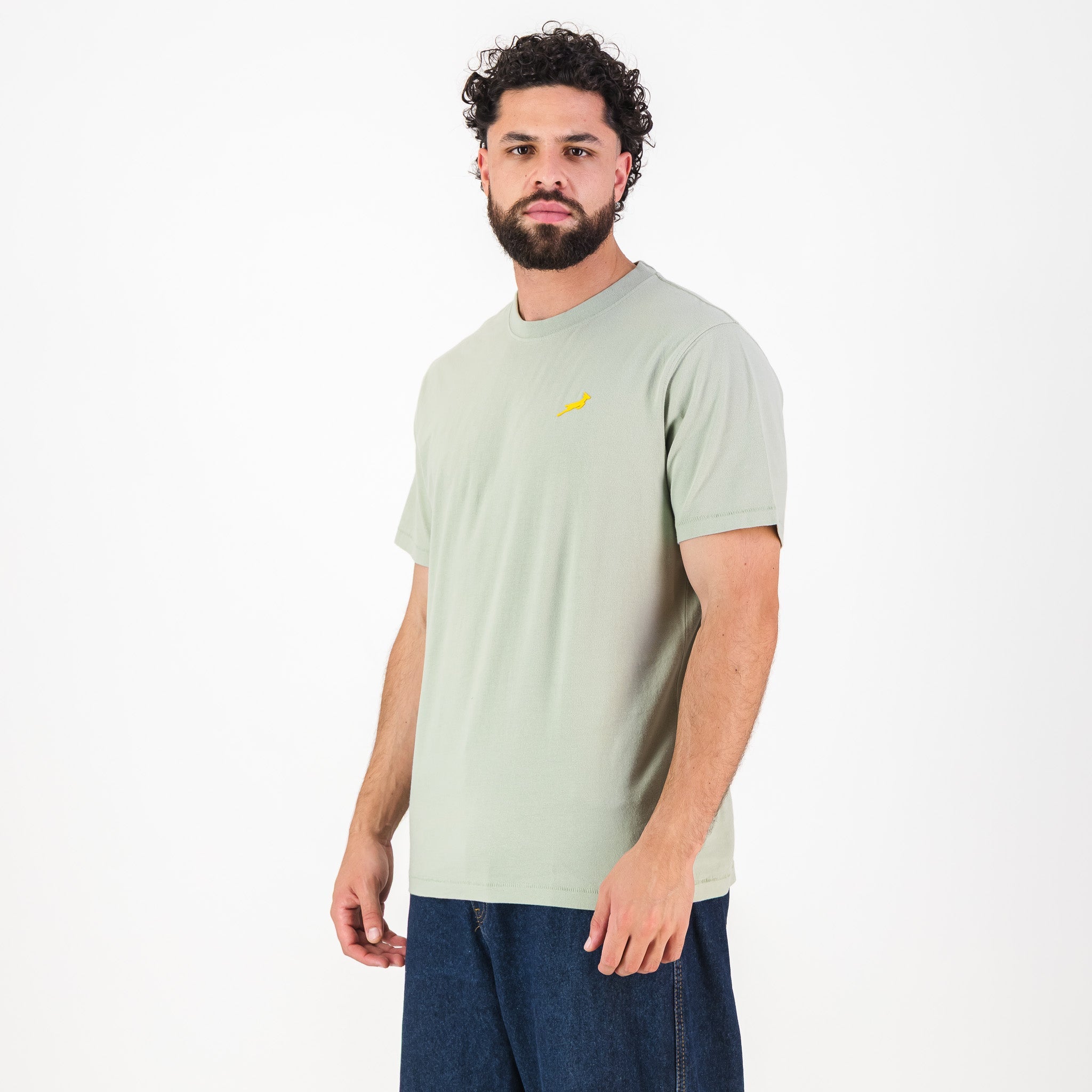 Springboks SML Bok HS Regular Crew Tee - Desert Sage - Old School