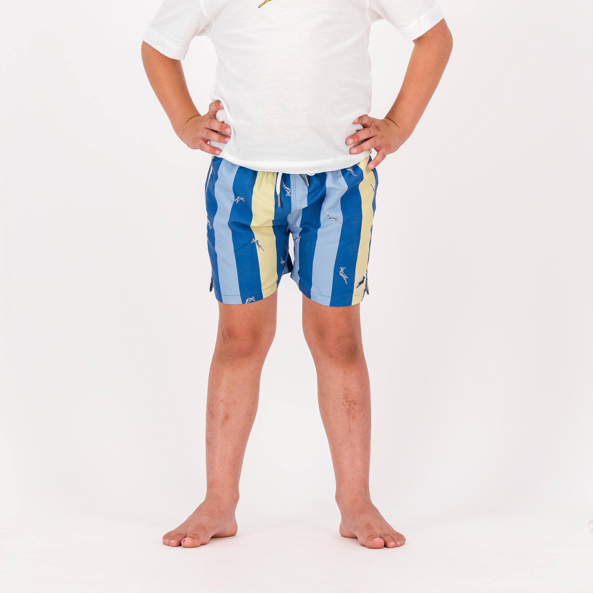 Springboks Stripe Print Kids Swim Shorts - Skyway - Old School